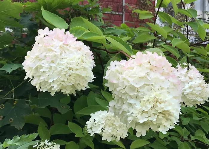Little Red School House *